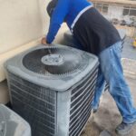 WhatsApp Image 2026-02-12 at 11.17.55