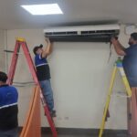 WhatsApp Image 2026-02-12 at 11.17.56 (2)