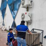 WhatsApp Image 2026-02-12 at 11.17.57 (1)