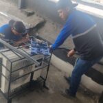 WhatsApp Image 2026-02-12 at 11.17.57 (2)