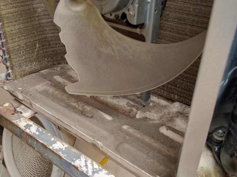 Imagen de WhatsApp 2024-08-21 a las 13.43.46_44bf8445