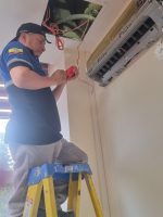 WhatsApp Image 2026-02-12 at 11.17.53